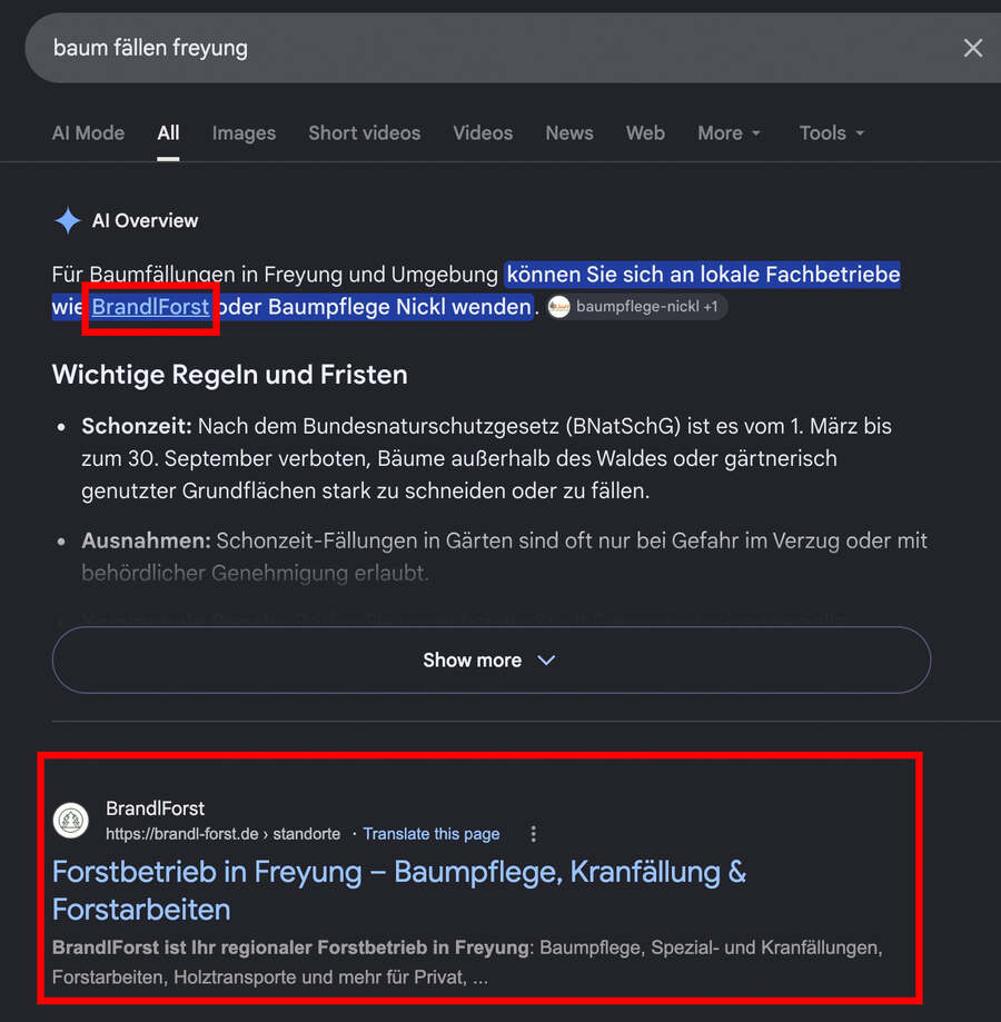 Googles KI-Antwort zur Suche „baum fällen freyung“ nennt BrandlForst als lokalen Fachbetrieb; darunter das organische Suchergebnis von brandl-forst.de.